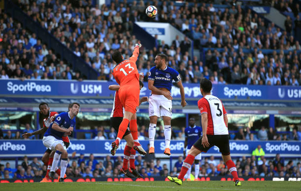 动员在归化 动员在归化