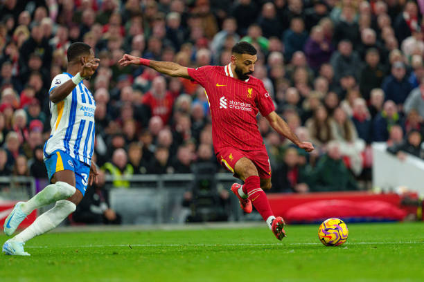 巴塞罗那的 巴塞罗那的